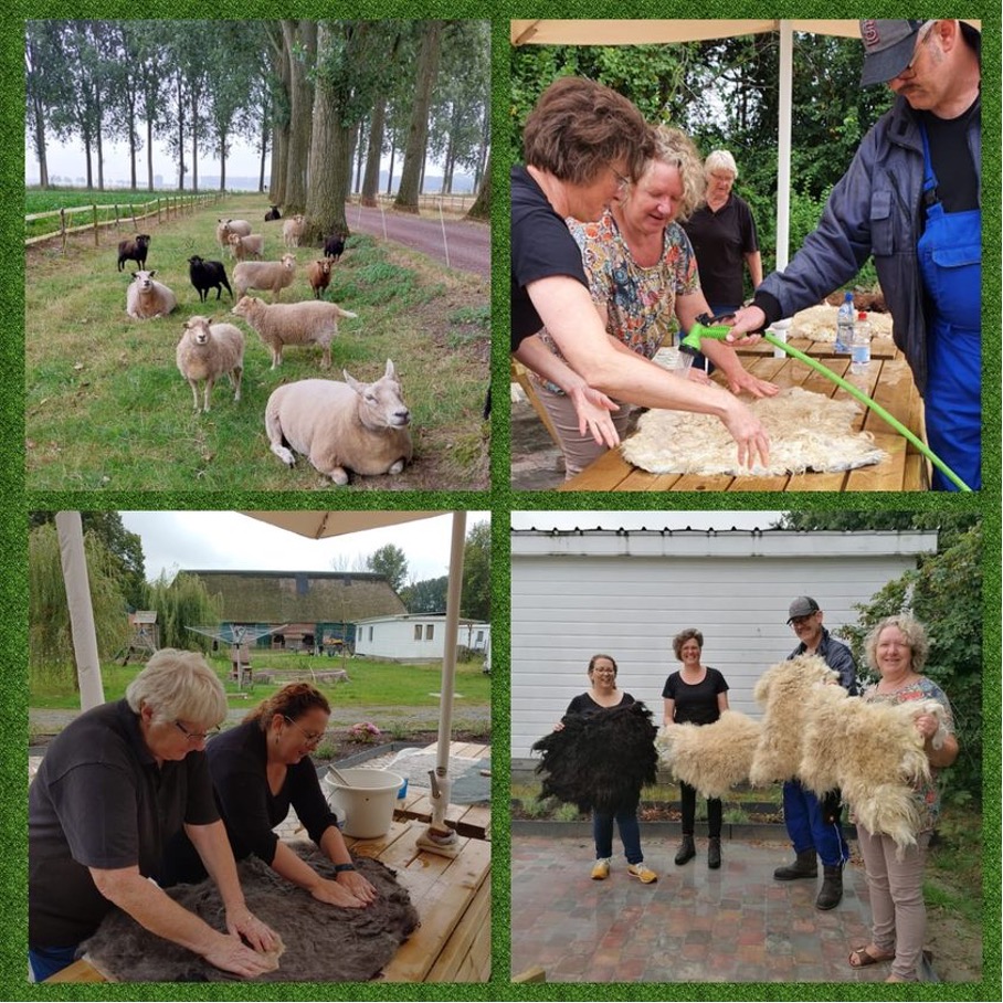 Team-building-maatschap-samenwerken-hof-van-axel